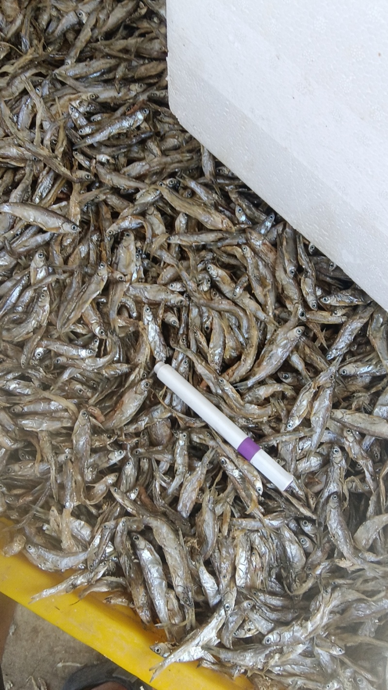 餐条干，4.5白条干