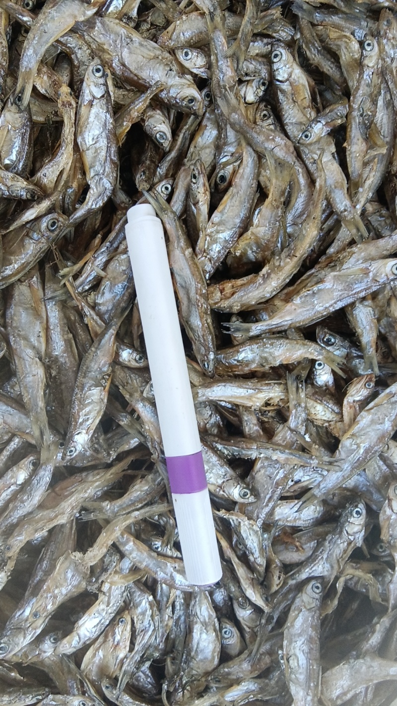 餐条干，4.5白条干