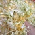 金银花
