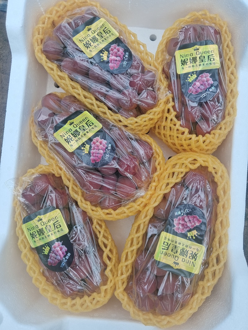 妮娜皇后葡萄欢迎采购