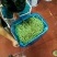 大量出售豆角