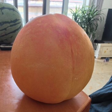 新鲜白肉油桃