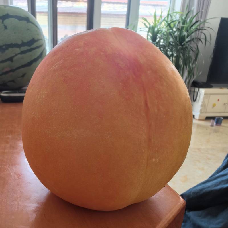 新鲜白肉油桃