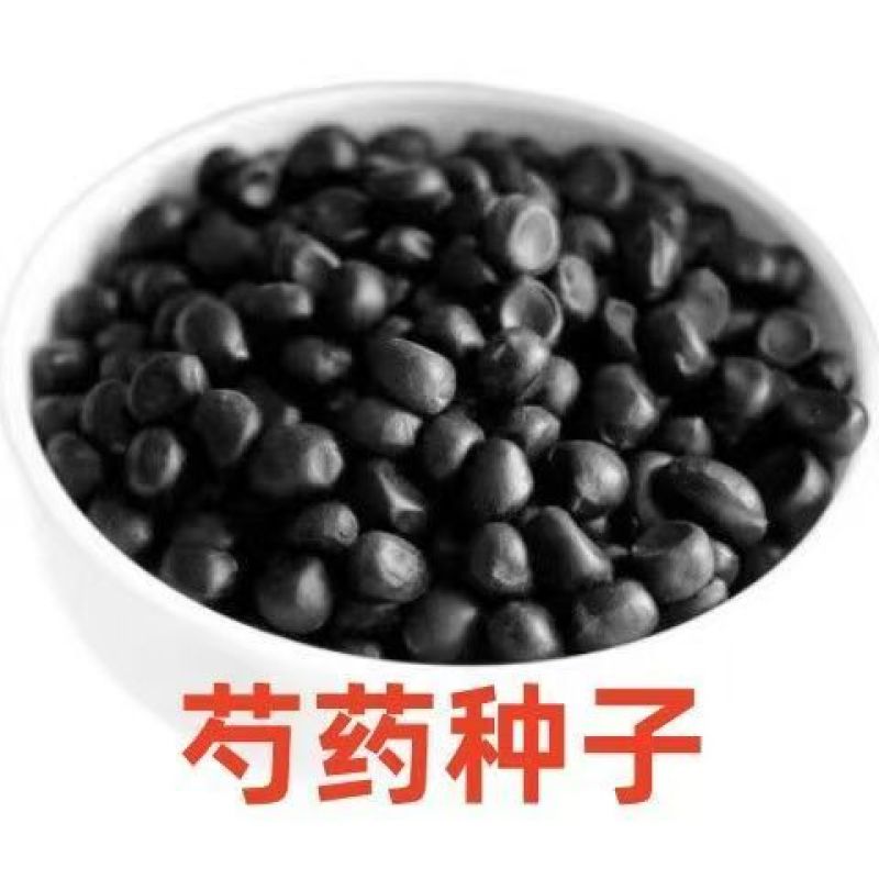 芍药种子品质保证，一件代发，全国发货，可视频看货欢迎电联