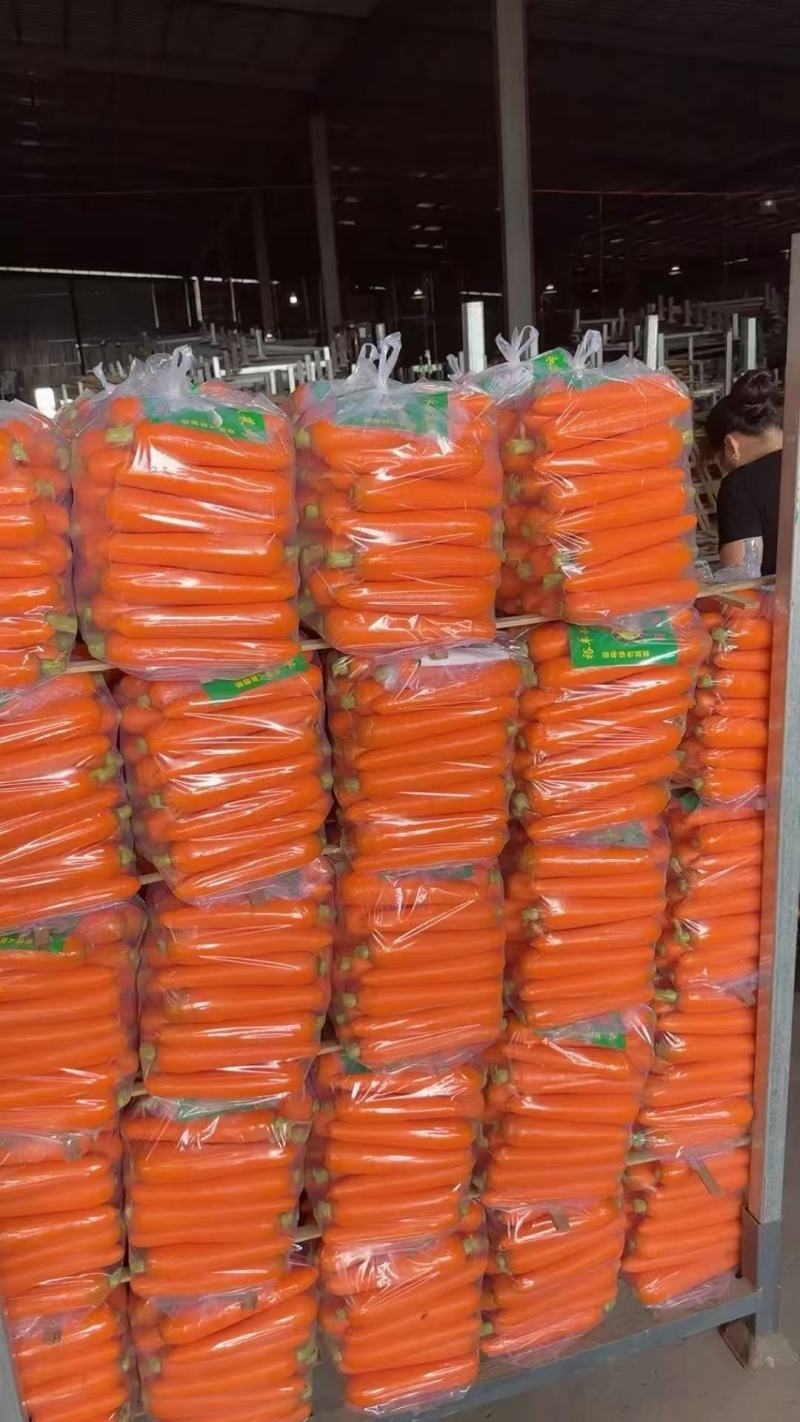 【胡萝卜带樱】胡萝卜精品，水洗，土货，专业对接商超，出口
