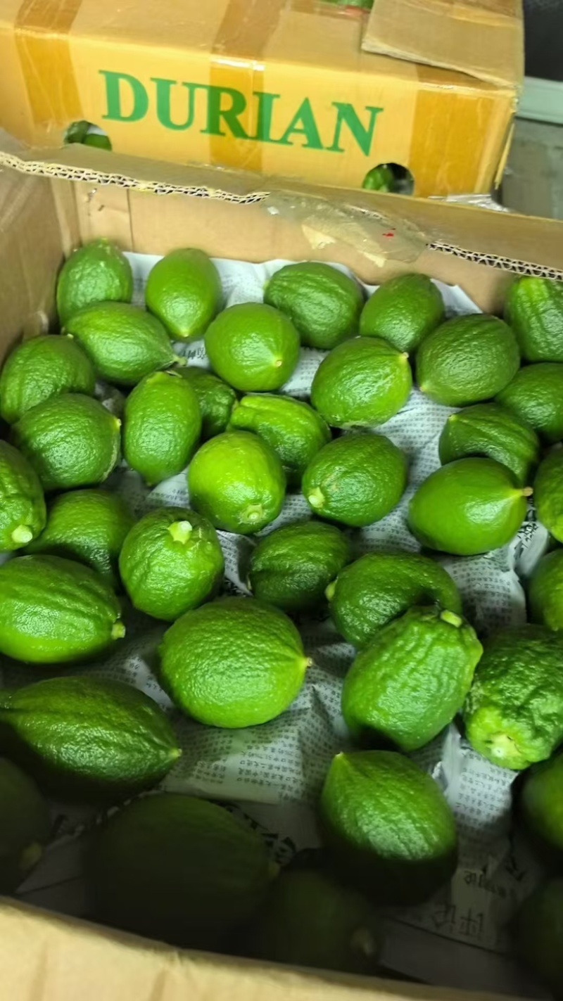 广东香水柠檬批发零售