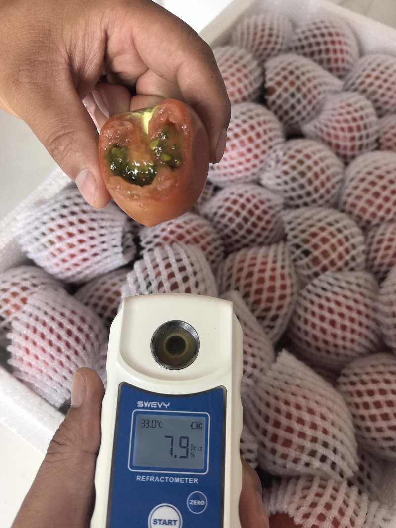 高海拔露天草莓西红柿，欢迎市场老板，电商，社区团购