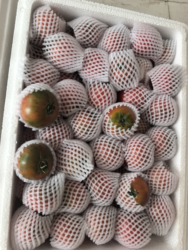高海拔露天草莓西红柿，欢迎市场老板，电商，社区团购