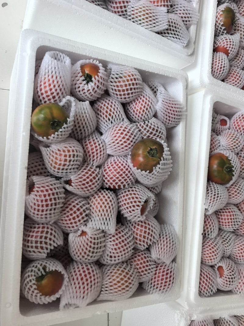 高海拔露天草莓西红柿，欢迎市场老板，电商，社区团购