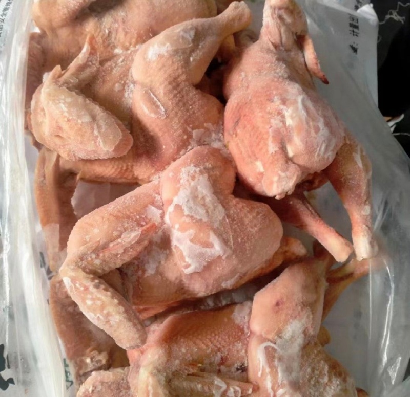 西装鸡供餐饮炸鸡店厂家直供品质保证价格实惠欢迎联系