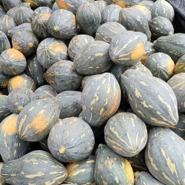 香芋南瓜，粉糯香甜，基地直销，供应全国。各批发，电商。