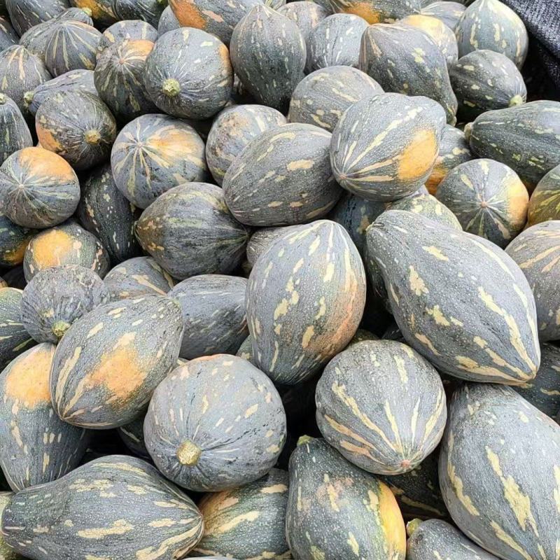 香芋南瓜，粉糯香甜，基地直销，供应全国。各批发，电商。