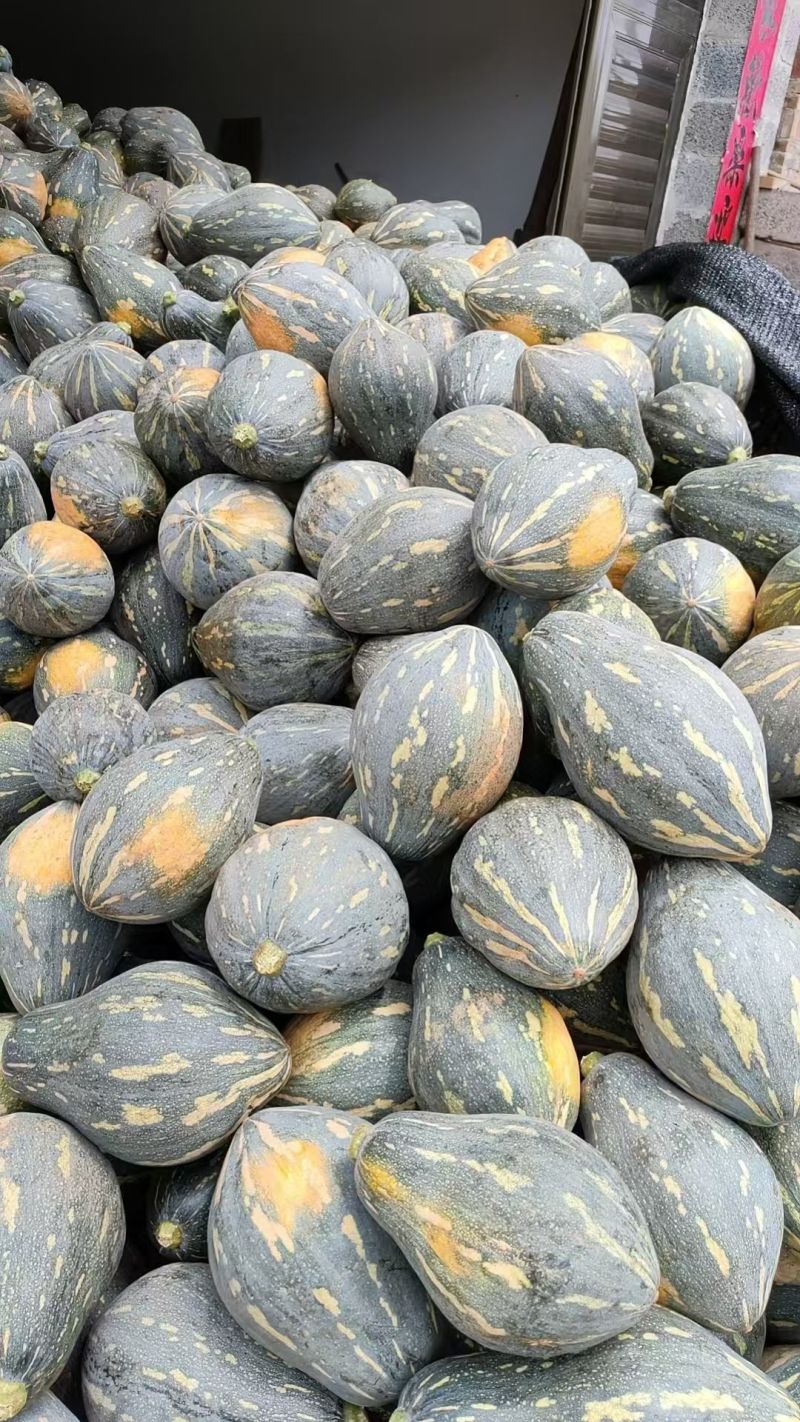 香芋南瓜，粉糯香甜，基地直销，供应全国。各批发，电商。