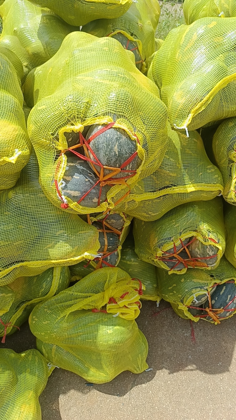 香芋南瓜，粉糯香甜，基地直销，供应全国。各批发，电商。