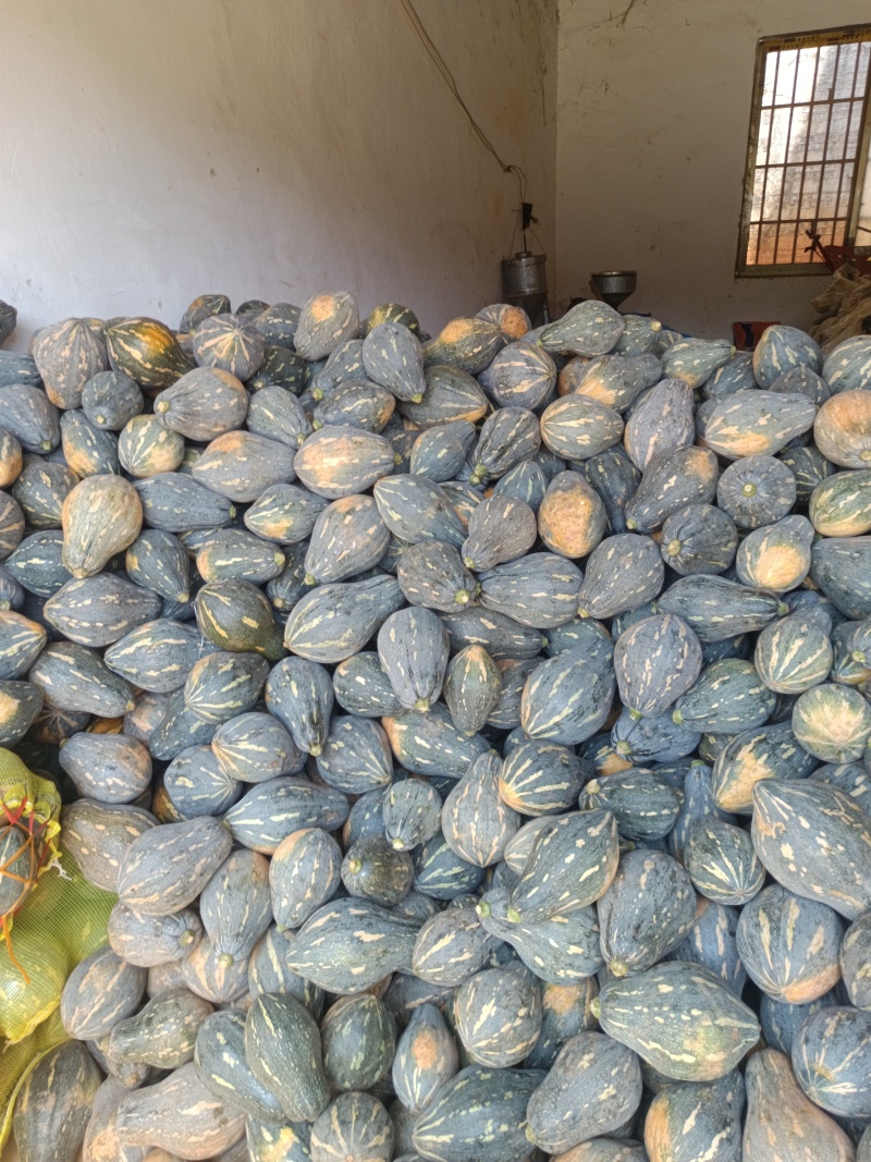 香芋南瓜，粉糯香甜，基地直销，供应全国。各批发，电商。