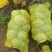 香芋南瓜，粉糯香甜，基地直销，供应全国。各批发，电商。