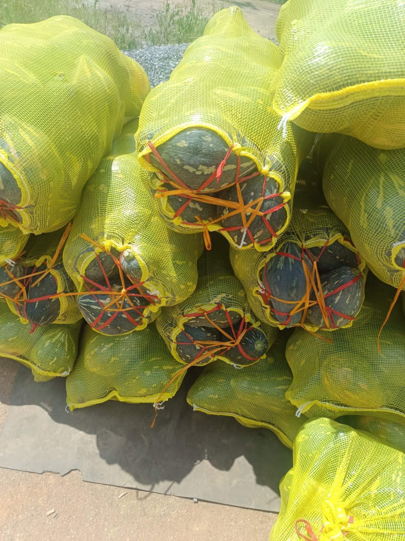香芋南瓜，粉糯香甜，基地直销，供应全国。各批发，电商。