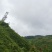 鲜八角