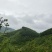鲜八角