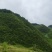 鲜八角