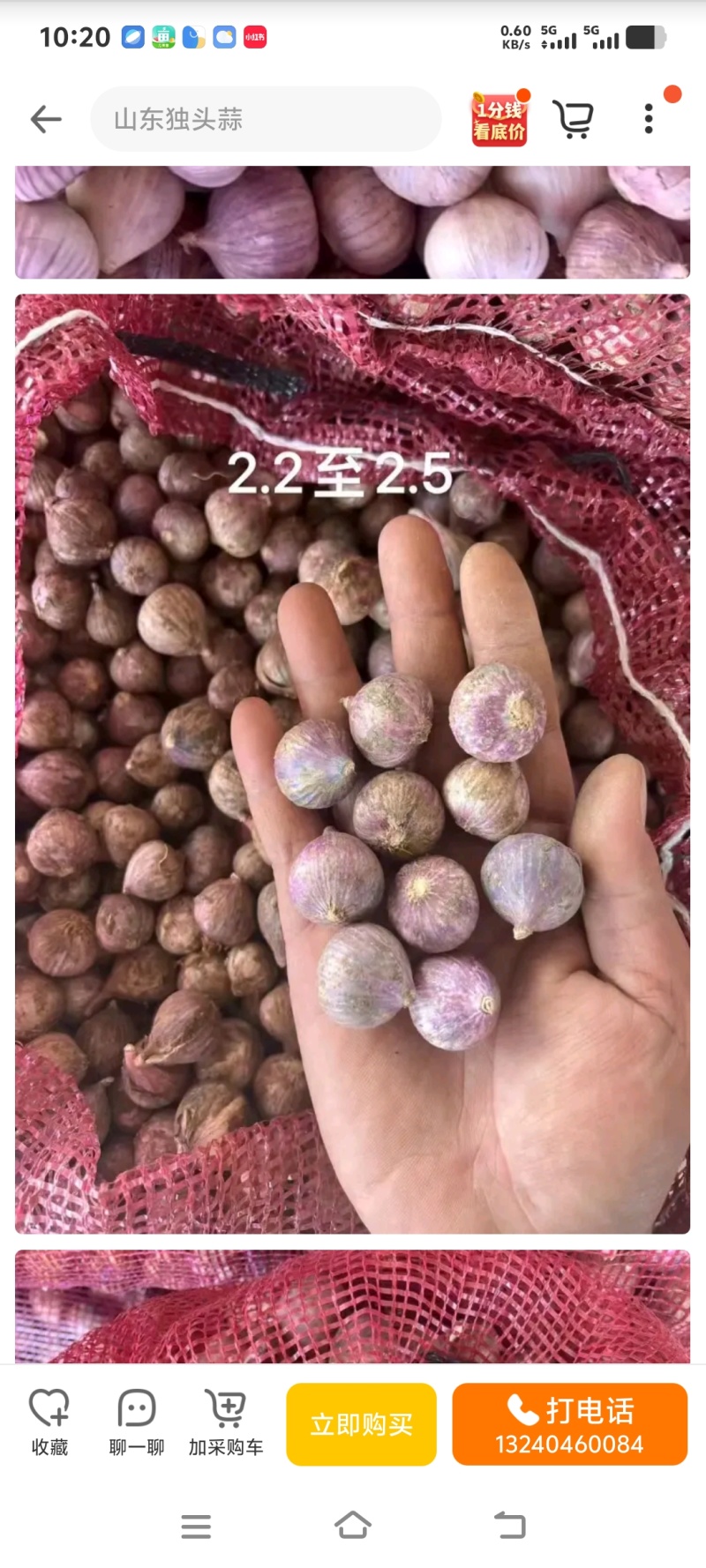 独头蒜【2.5公分~3公分~4】电商~市场~全国发货