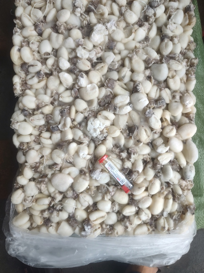 次品80/120可用捞汁