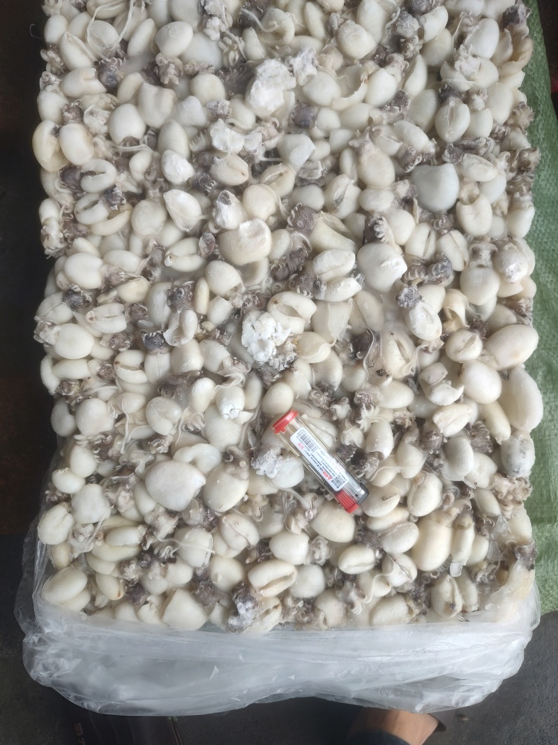 次品80/120可用捞汁