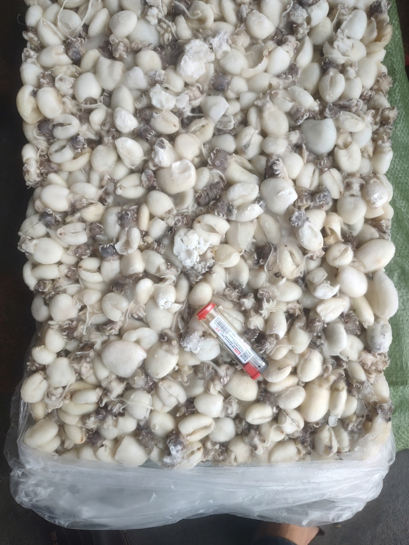 次品80/120可用捞汁