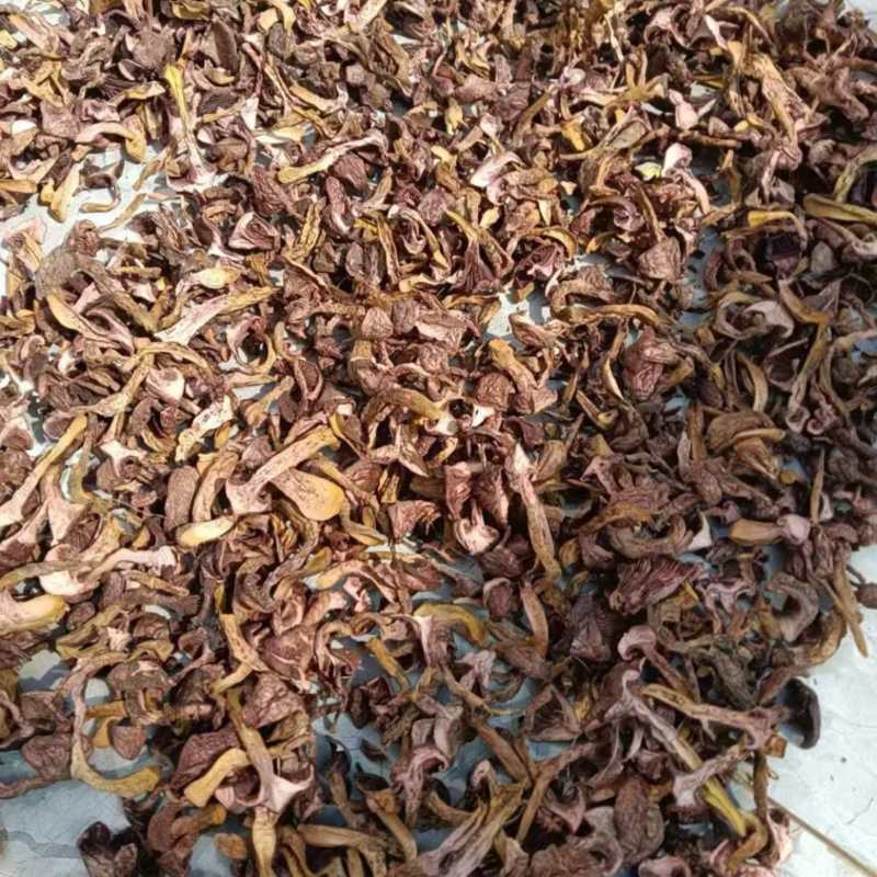 内蒙古野生蘑菇干，货源充足，供货稳定，欢迎大家下单