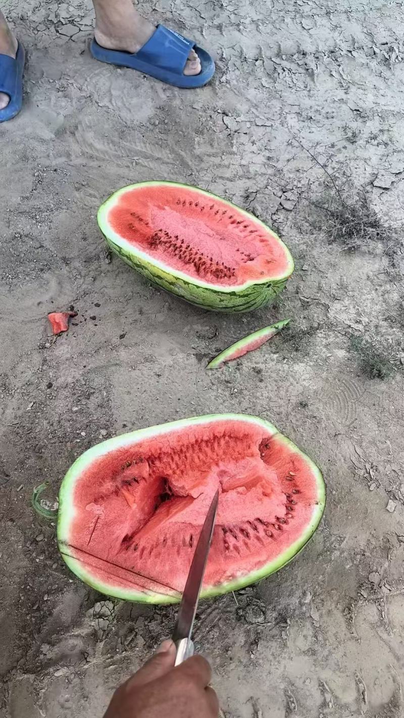 《宁夏硒砂瓜》最后一茬好货中卫硒砂瓜/石头瓜/产地直发