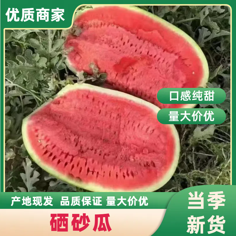 《宁夏硒砂瓜》*第一茬好货中卫硒砂瓜/石头瓜/产地直发