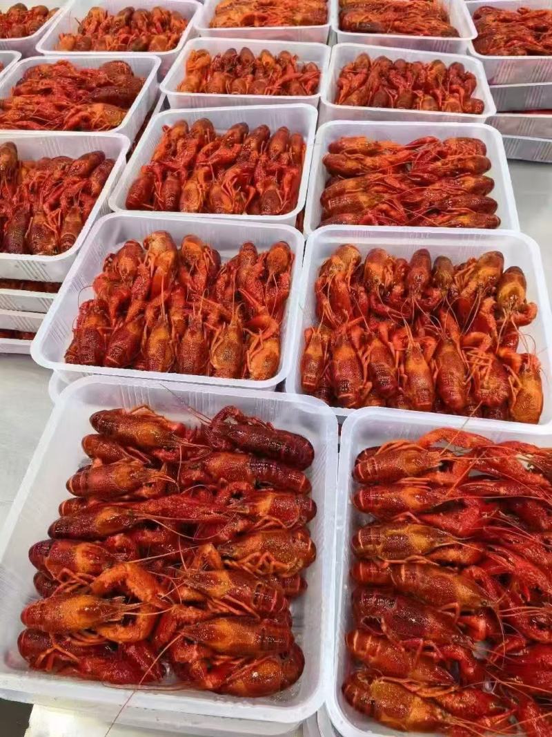 潜江小龙虾冻虾产地直发品质保证全国发货