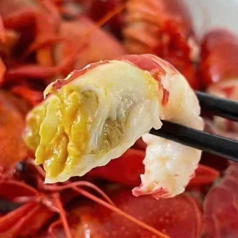 潜江小龙虾冻虾产地直发品质保证全国发货