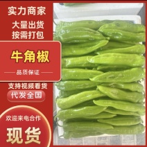 海南精品牛角椒产地直发，一手货源，价格便宜