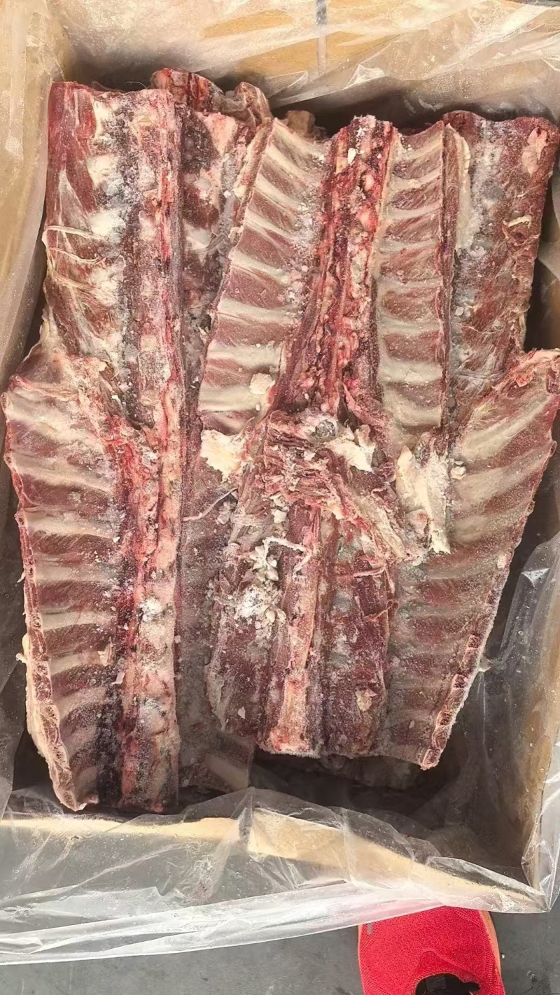 带排羊脊骨
