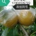 永川黄花梨，圆黄梨种植户，一手货源