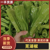 海南临高泡椒，芜湖椒精品次货价格便宜，大量货源，欢迎咨