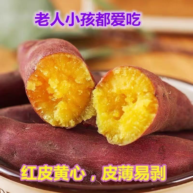 超甜沙地蜜薯大量上市西瓜红板栗薯龙九
