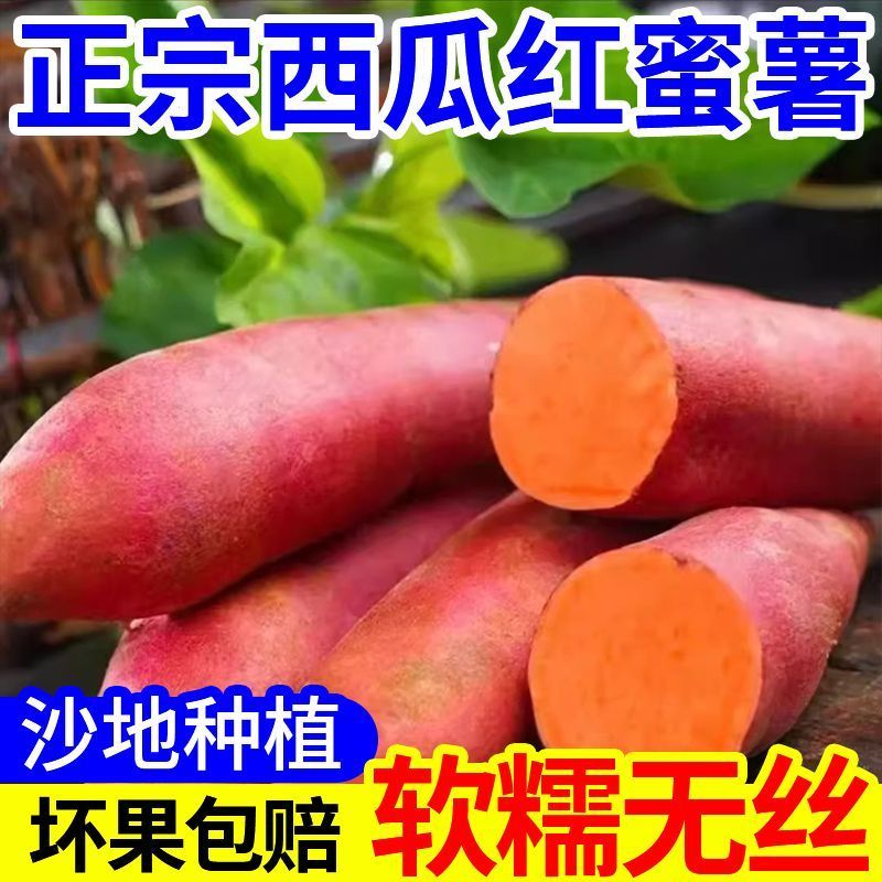 超甜沙地蜜薯大量上市西瓜红板栗薯龙九