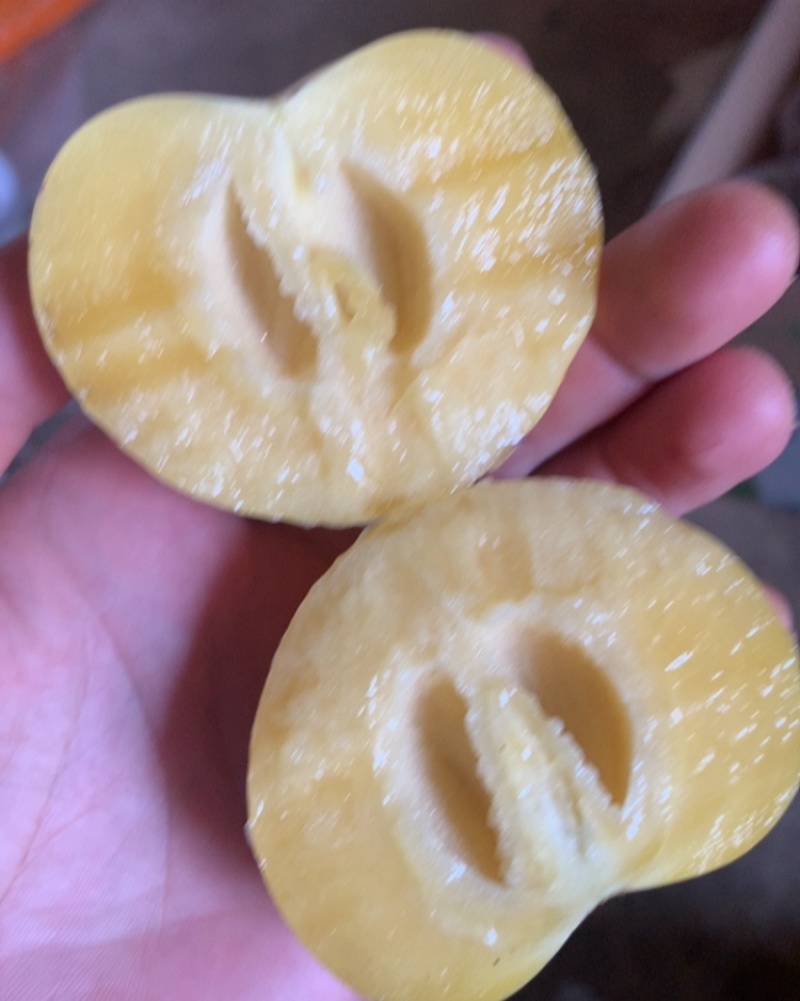云南人参果