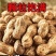 大白沙花生带壳鲜花生开封花生大量上市大白沙四粒红鲜货