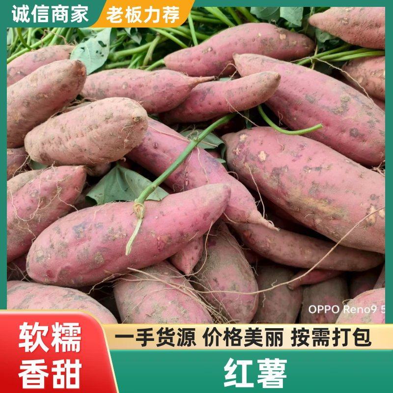 精品西瓜红红薯，产地直发地瓜龙九，济薯33开封红薯