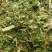 青储饲料全珠玉米杆牛羊草料万亩基地欢迎咨询看货！
