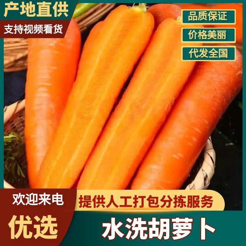 水洗三红胡萝卜对接全国市场开封胡萝卜货量充足