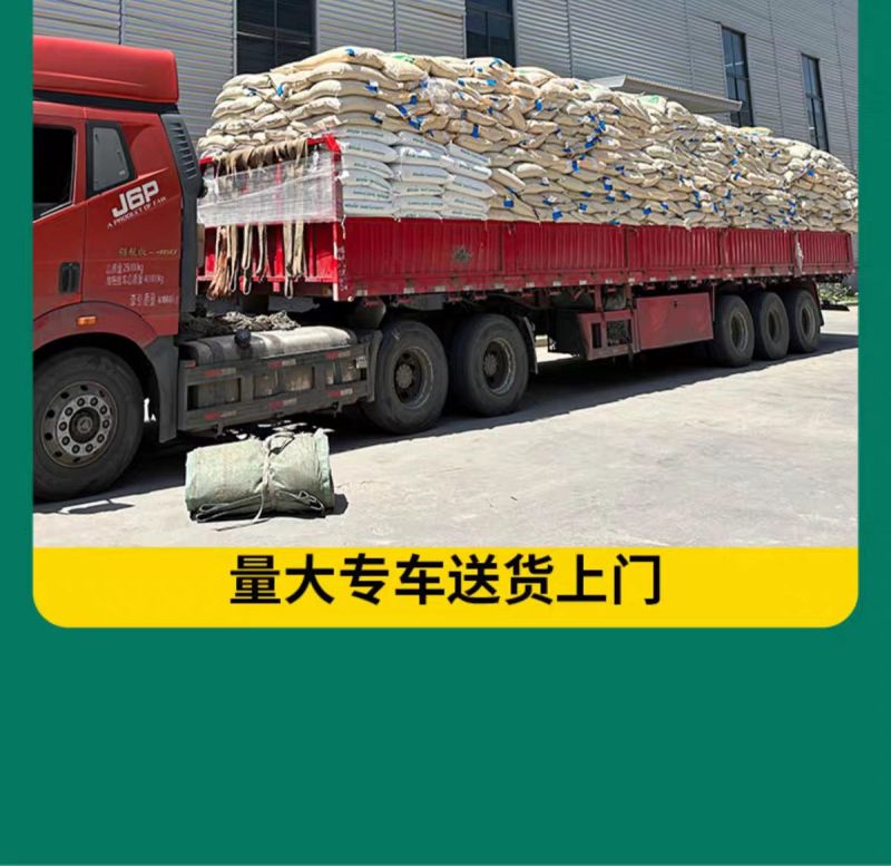 紫羊茅种子厂家一手货源批发品质保证价格美丽