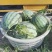 美都西瓜