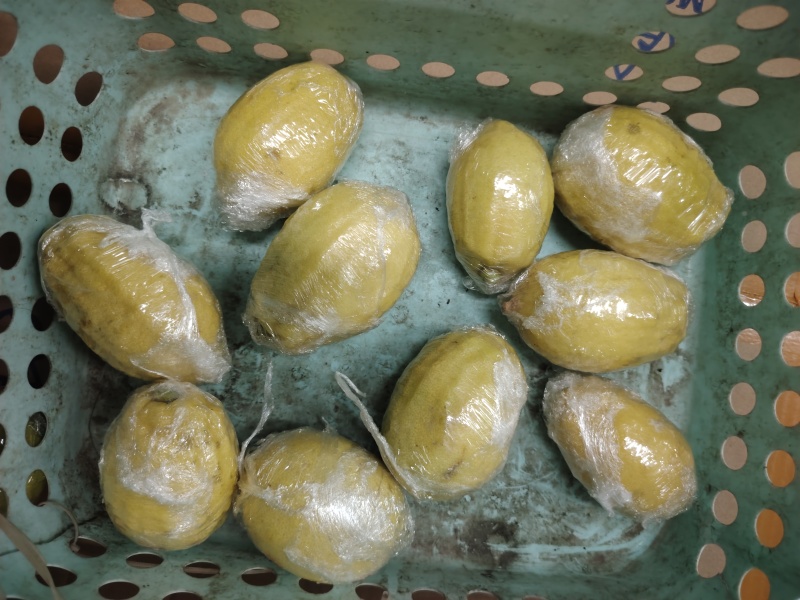 香水黄柠【联系我时，请说是在一亩田上看到的】一口爱上檬
