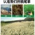狼尾草种子基地直发价格美丽