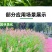 狼尾草种子基地直发价格美丽