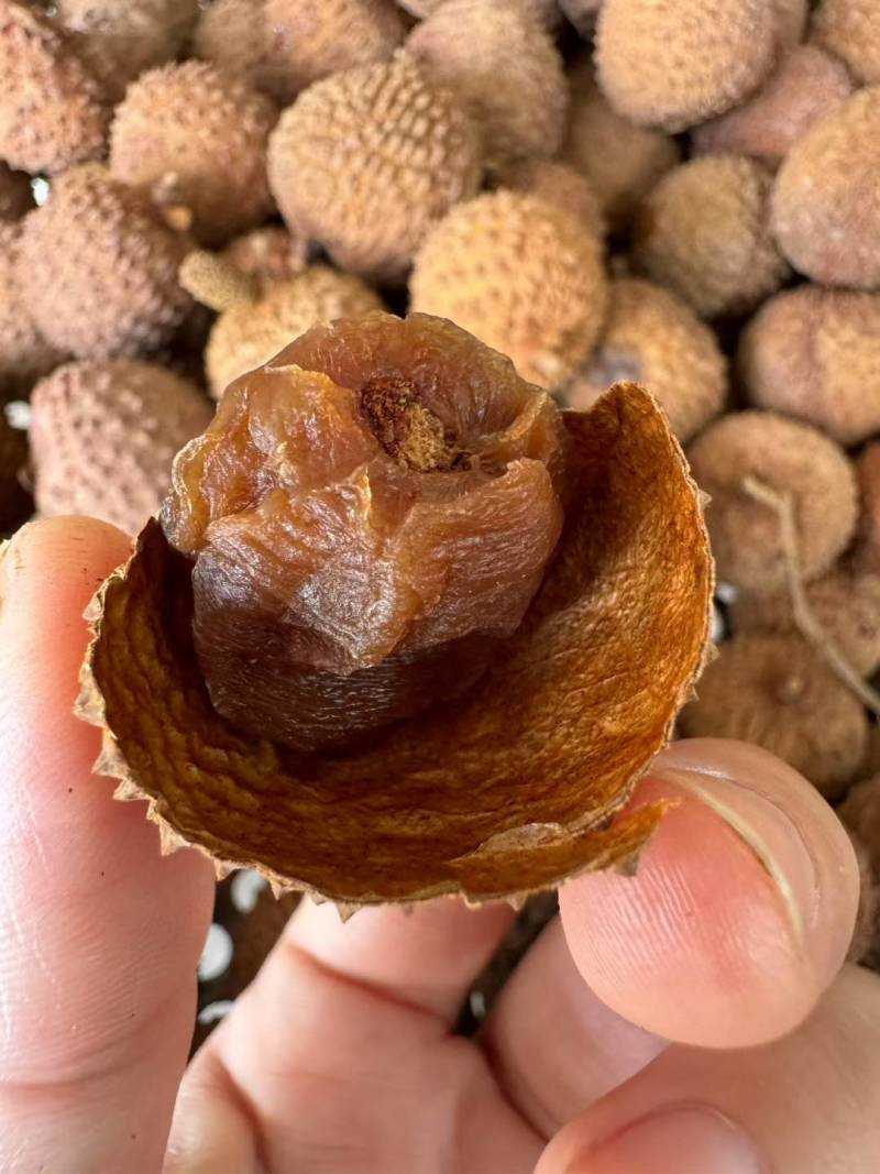 高州桂味荔枝干，长期大量供应，量大价格从优，